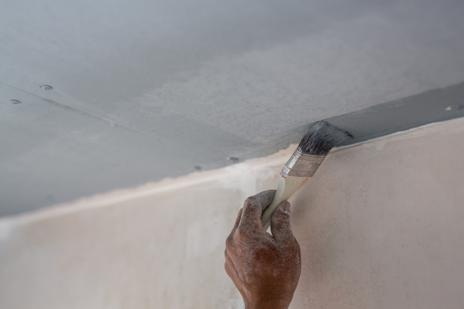 Complete Home Renovation