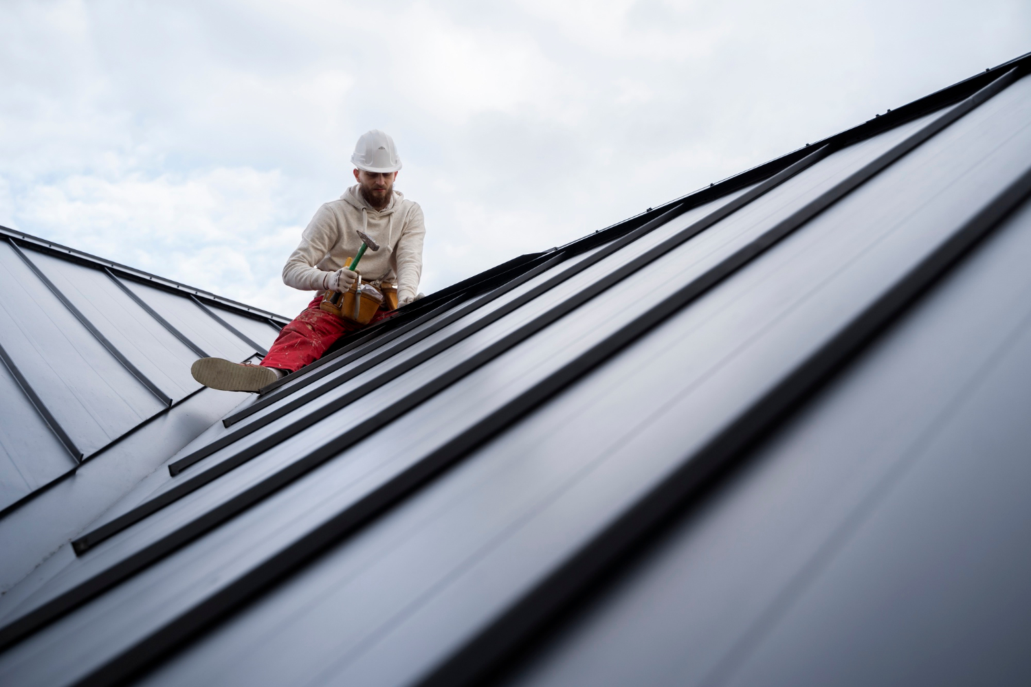 Roof & Plumbing Fixes
