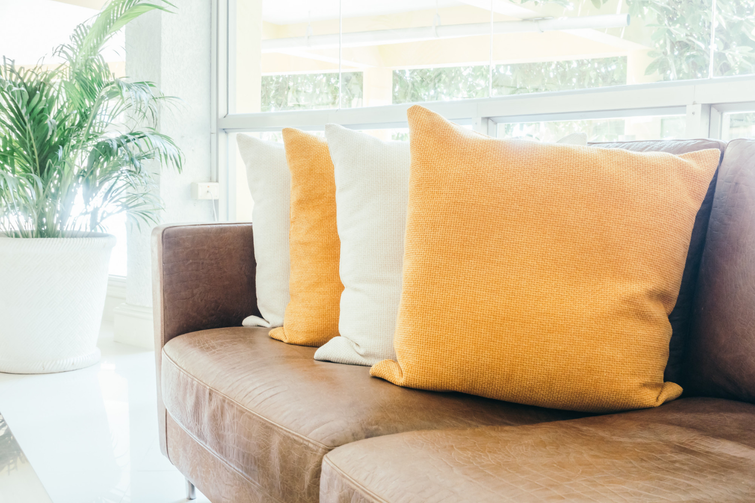 Curtains, Lights & Decor